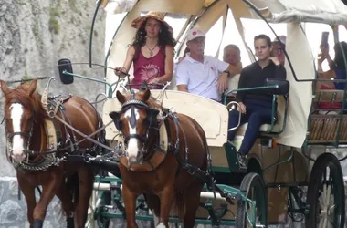 “Art in the mountains” horse-drawn carriage ride
