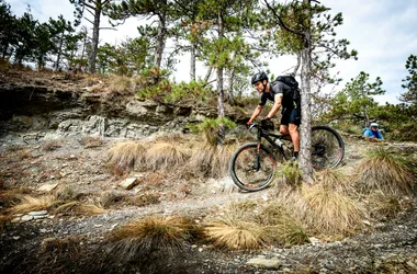 Mountain biking stay The Mythical