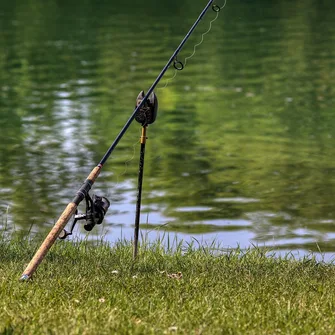 Stage de pêche au coup