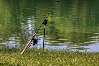 Stage de pêche au coup