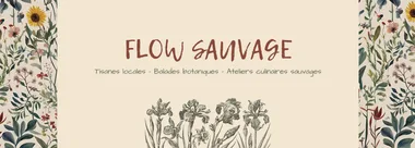 Flow sauvage de novembre