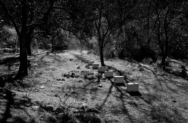 Randonnée • Bivouac “Art en Montagne” Vière • Haute Provence