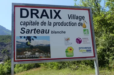 Draix Sarteau pear production village