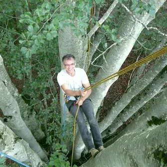 Arbosphère – Grimpe d’arbres