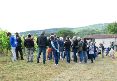 Visite des vignes