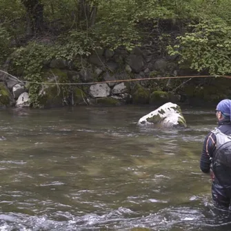 Stage de pêche à la mouche, en sèche