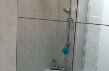 bathtub and shower screen