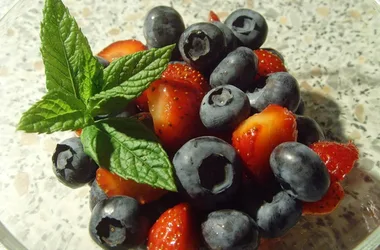 blueberry fruits malpassadou farm