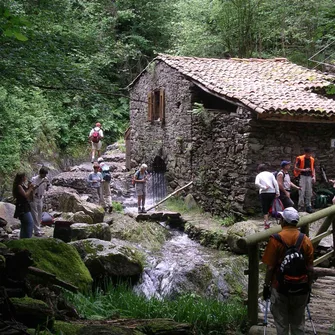 Le  Moulin de la Laurède