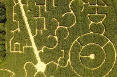 ZOOM aerial view maze