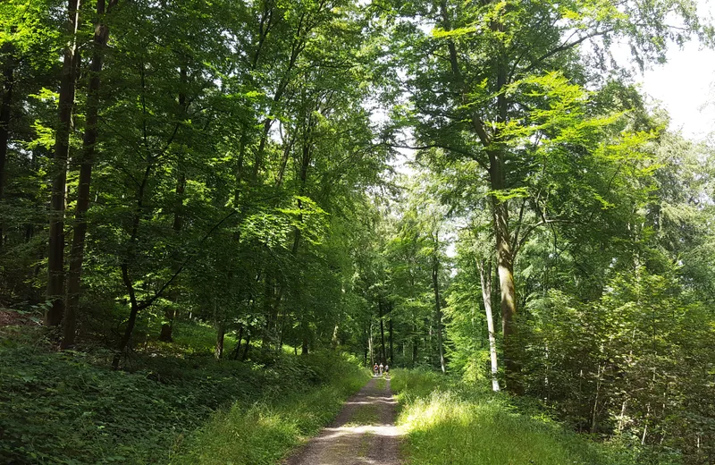 Fontaineresse-Weg, Lyons-la-Forêt
