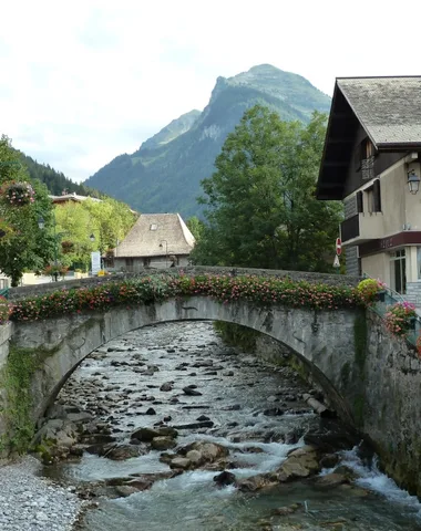 “Le Vieux Pont” Library