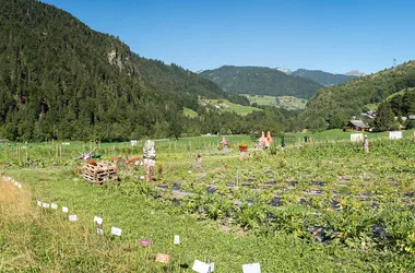 Les jardins de l’Abbaye