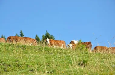 La ferme de Seraussaix à la Toussaint