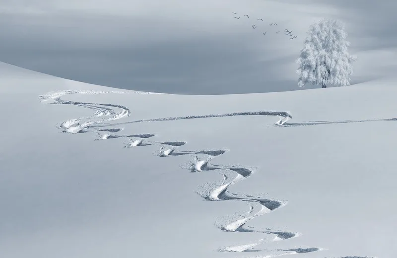 Leçons privées Ski / Hors pistes