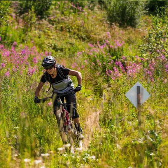 Rouge – Avoriaz – Cabane aux gardes