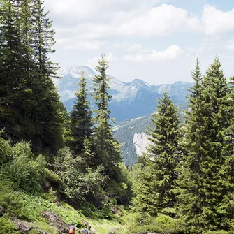 Alpage de Morzinette depuis Avoriaz en passant par La Chèvrerie des Ardoisières