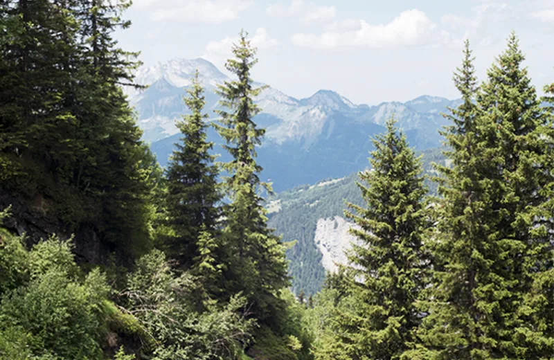 Morzinette Alpine Pasture from Avoriaz via La Chèvrerie des Ardoisières