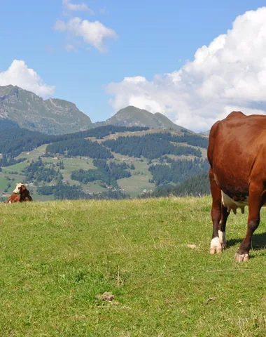 La Ferme de Seraussaix