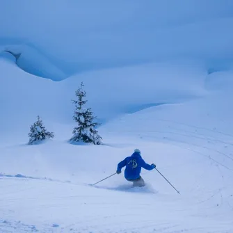 Ski de randonnée