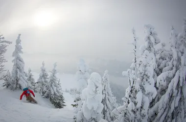 Sortie Hors-Piste en Snowboard