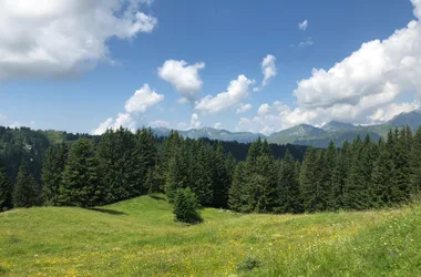 Le lac de Nyon-Guérin par Nyon