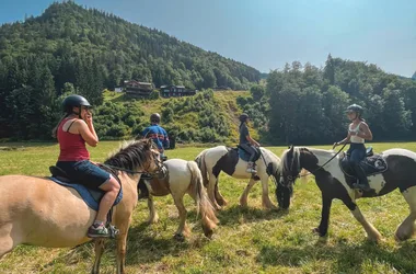 Equestrian Center