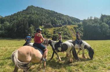 Centre Equestre