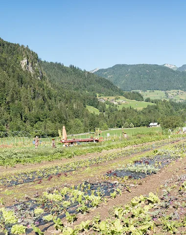 Les jardins de l’Abbaye