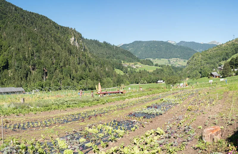 Les jardins de l’Abbaye