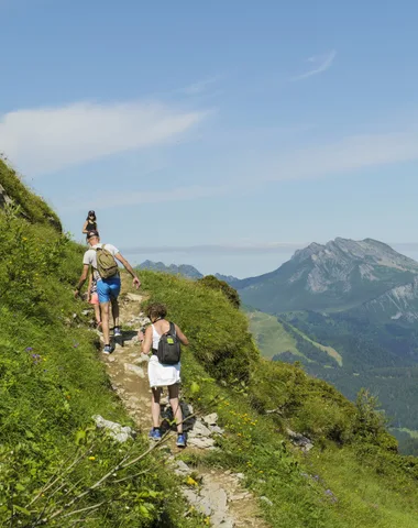 The educational trail on mountain animals