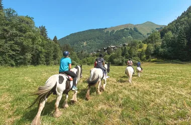 Centre Equestre