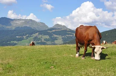 La ferme de Seraussaix à la Toussaint