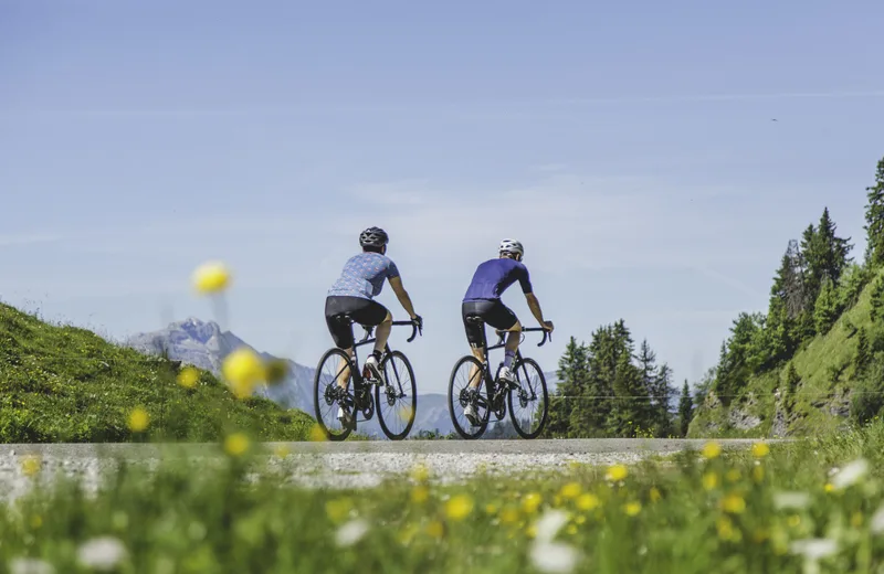 Excursion en Vallée Verte / Les Routes de la Vallée Verte