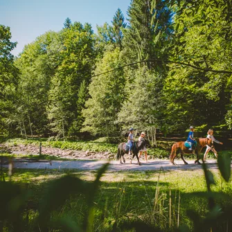 Centre Equestre