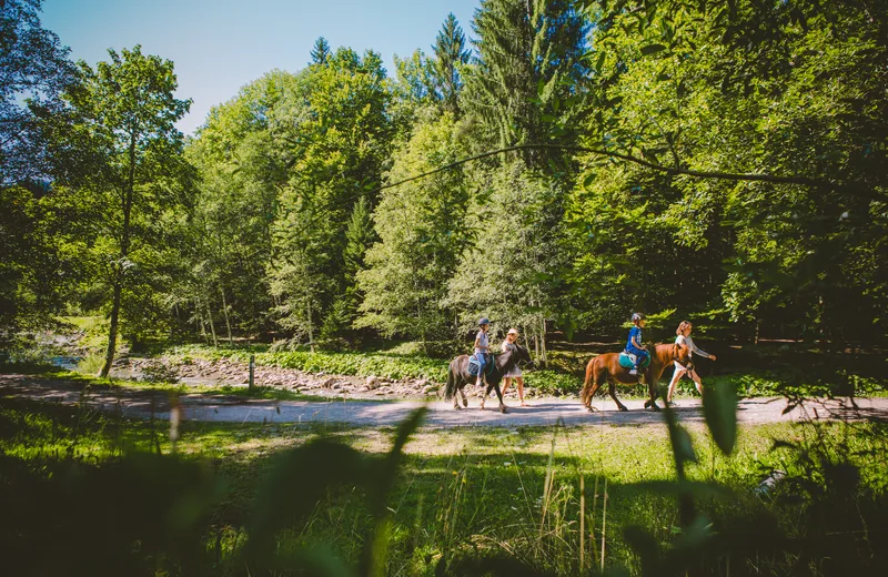 Centre Equestre