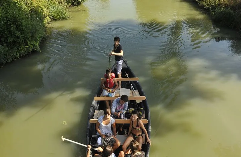 Saint-Hilaire-la-Palud, capitale du Marais sauvage