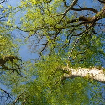 Randonnée à vélo au coeur de l’Espace Naturel Sensible du Grand Bousseau