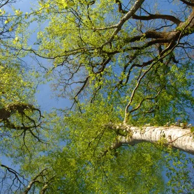 Randonnée à vélo au coeur de l’Espace Naturel Sensible du Grand Bousseau