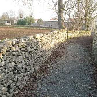 Vouillé et son architecture rurale