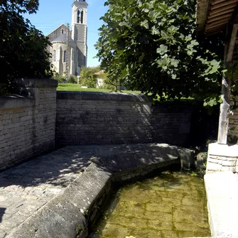 Saint-Georges-de-Rex et son marais préservé