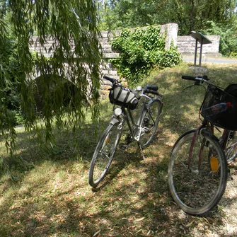 Les Balades du Marais – Balades à vélo accompagnées
