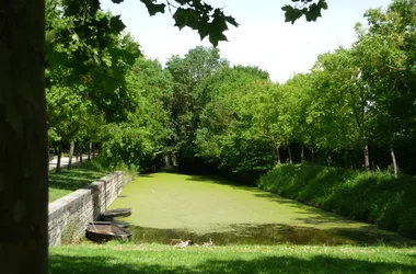 Saint-Georges-de-Rex et son marais préservé