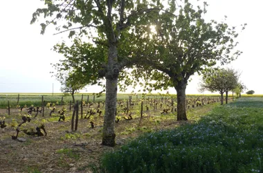 Randonnée La Foye-Monjault – Sur les pas de la Négrette