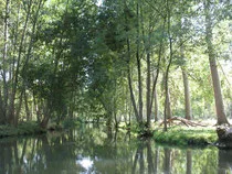 Le Marais poitevin2