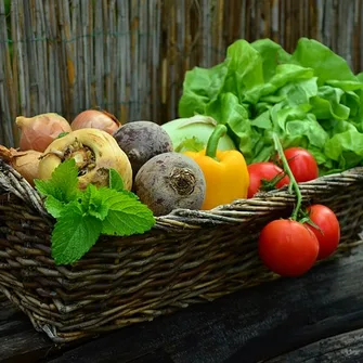 Atelier Jardin au naturel : adaptation climatique, à Prahecq.