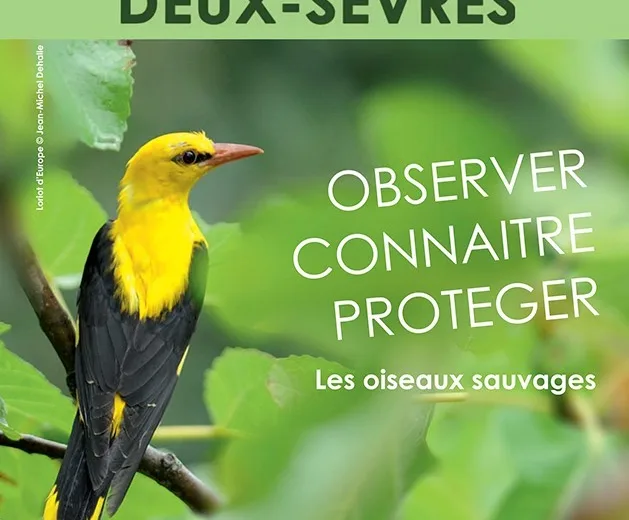 Groupe Ornithologique des Deux-Sèvres à Niort