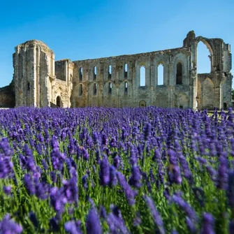 Abbaye de Maillezais