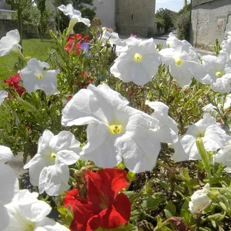 Saint-Rémy-en-Plaine vaut le des Tours