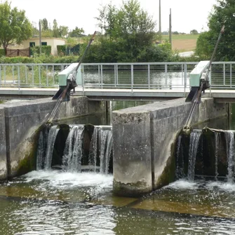 Site du Marais Pin (Magné)